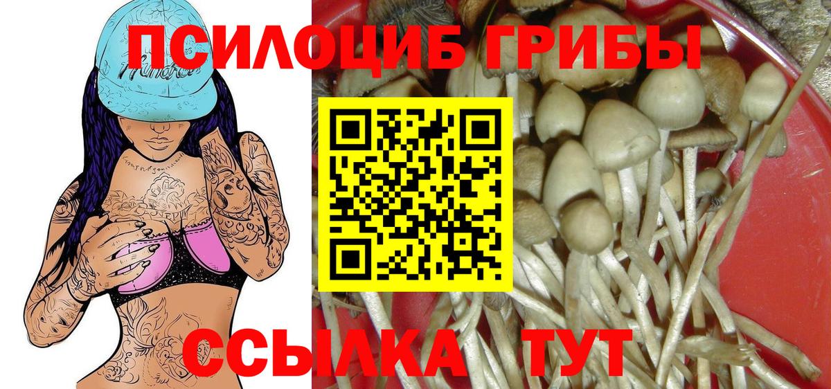 Псилоцибиновые грибы мицелий Омск