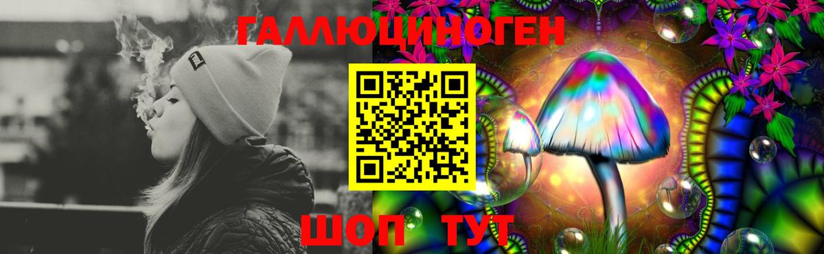 Омск  Галлюциногенные грибы MAGIC MUSHROOMS  Псилоцибиновые грибы мухоморы  Вход с VPN 